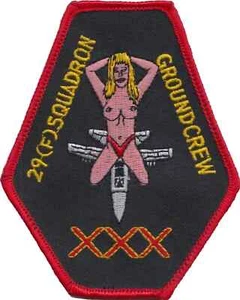 29 F Squadron Groundcrew Royal Air Force Embroidered Patch Badge - LAST FEW - Picture 1 of 5