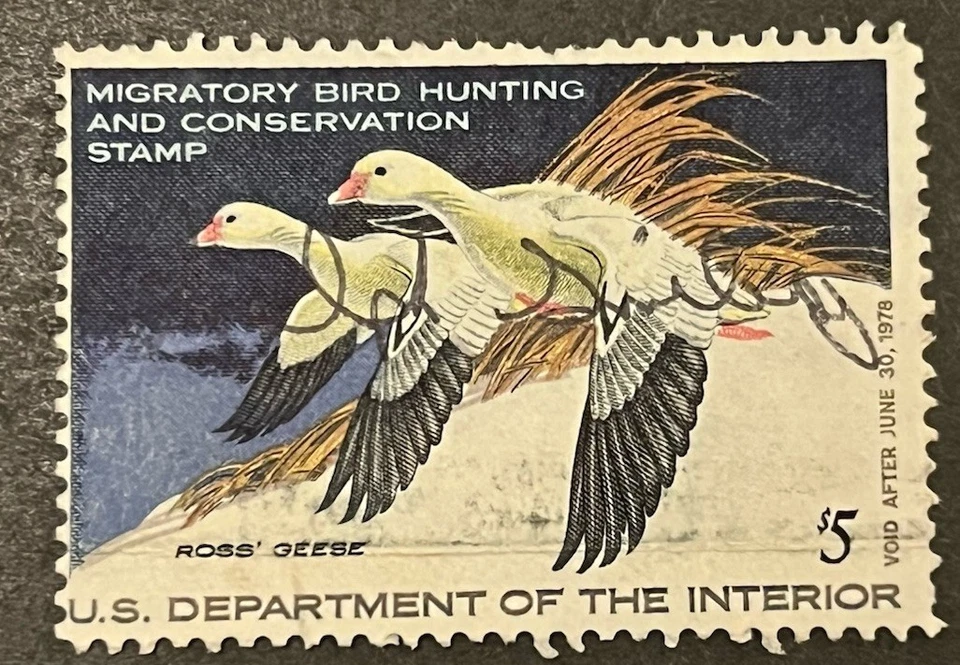Travelstamps: 1977 US DUCK STAMPS  SCOTT #RW44 $5 ROSS' GEESE USED - Image 1 of 4