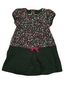 Gymboree Plum Pony Green Floral Quilted Fall Dress Toddler Girl Size 3T NEW NWT - Picture 1 of 2
