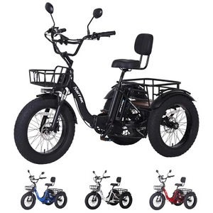 Narrak Electric Folding Tricycle, Etrike 750W Motor 48V13Ah Removable Battery - Picture 1 of 30