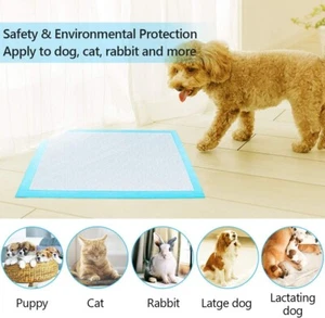 Dog & Puppy Training Pads 10 Ultra Absorbing with Indicator 60 x 60CM Large Size - Picture 1 of 18