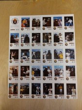 1984 San Diego Padres Smokey the Bear TONY GWYNN and Error Juan Bonilla - UNCUT