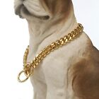 Encryption Dog Ring Pet Dog Necklace Golden Chain Cuban Chain Dog Collar