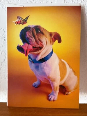 复古 Avanti "I Still Get 蝴蝶 ! Happy Anniversary贺卡 — 第 1/3 张图片