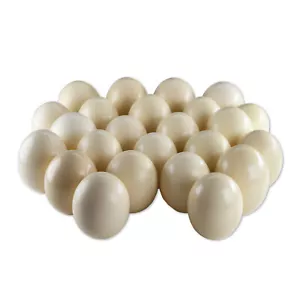 24 uova di struzzo africane originali bouquet Africa decorazione bianco/crema decorazione uovo di Pasqua - Foto 1 di 1