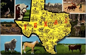 Views of Texas Map Postcard - Picture 1 of 2