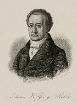 M. LÄMMEL (*1849), Porträt von Joh. Wolfgang von Goethe(*1749), Sst. Romantik - Bild 1 von 4