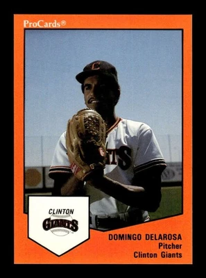 1989 Procards #905 Domingo Delarosa NM Near Mint BXCP08 - Image 1 of 2
