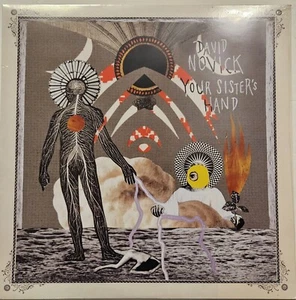 David Novick - Your Sister's Hand LP Folk Rock (Vinyl) 12" Album 2014 SEALED - Picture 1 of 1