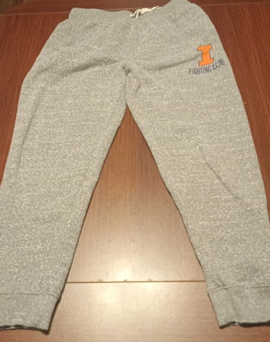 Champion University Of Illinois Men's Sweatpants Large Gray Cover