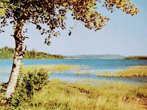 PHOTO CHROME POST CARD LAKE OZETTE WASHINGTON JEFFERSON COUNTY - Picture 1 of 12