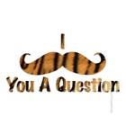 Mustache You A Question, Vinyl Decal Sticker, 40 Patterns & 3 Sizes, #3922
