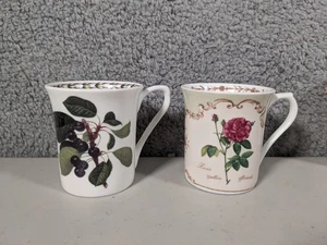 Set (2) Queen's Fine Bone China Tassen Teetassen Redoutes Rosen & Nutten Obst - Bild 1 von 6