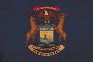 Vintage Michigan Flagge auf Leinwand, Flagge, Wandkunst, Michigan Foto, Michigan Druck - Bild 1 von 6