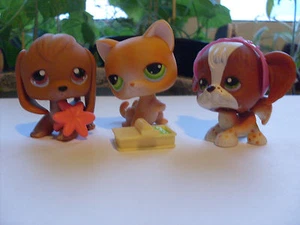 Littlest Pet Shop #11 #16 #31 " RARE " Cat /Cocker Spaniel /brown beagle+Zubehör - Bild 1 von 8