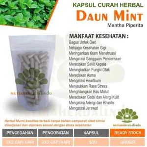 Tapas en polvo DAUN MINT hierbas orgánicas naturales especias frescas puras higiénicas premium - Imagen 1 de 6