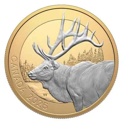 ELK PORTRAITS 2025 CANADA .9999 Pure 1oz Silver Gold Gilded Proof $20 Coin - Image 1 of 4