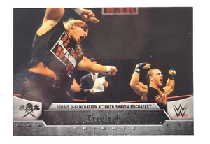 2016 Topps WWE Road to WrestleMania Triple H Tribute #4 Formas D-Generation X - Imagen 1 de 2