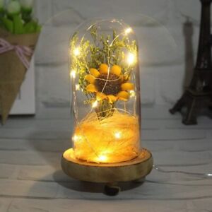 ANDD Artificial Sunflower with LED Fairy Lights in Glass Dome,Enchanted Flower