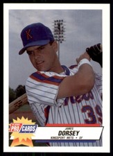 1993 Fleer ProCards James Dorsey Kingsport Mets #3808