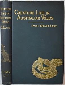 CREATURE-LIFE IN AUSTRALIAN WILDS, Lane c.1912. Australien, Victoria, Buschmann - Bild 1 von 6
