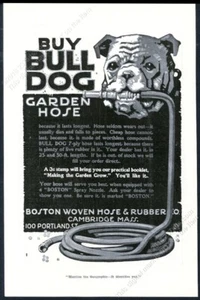1918 Bulldogge Kunst Bulle Hund Gartenschlauch illustriert Vintage Druck Anzeige - Bild 1 von 7