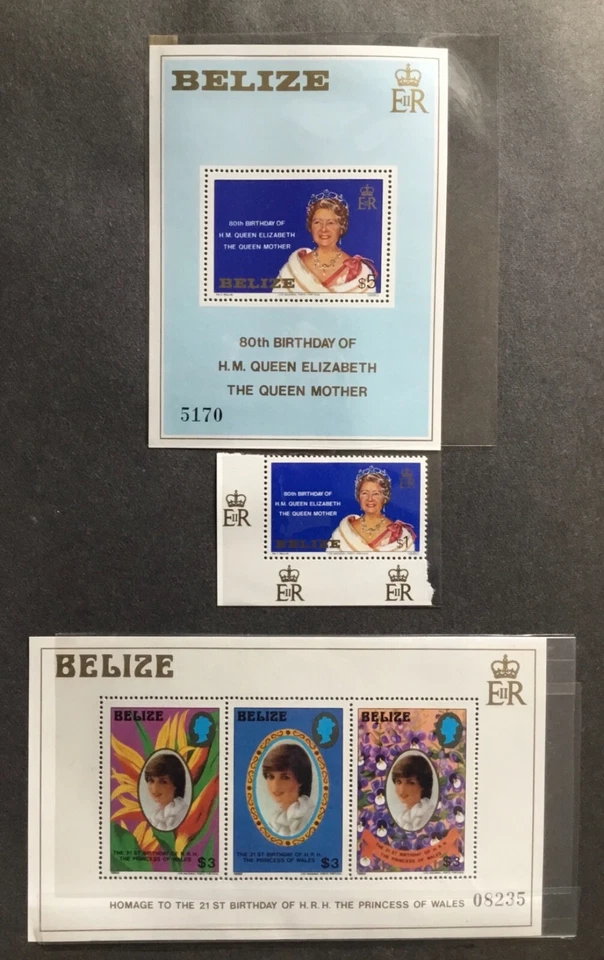 Reina de Belice Madre Soltera y S/S y Princesa Diane 21 Cumpleaños S/S Foto 1 de 1