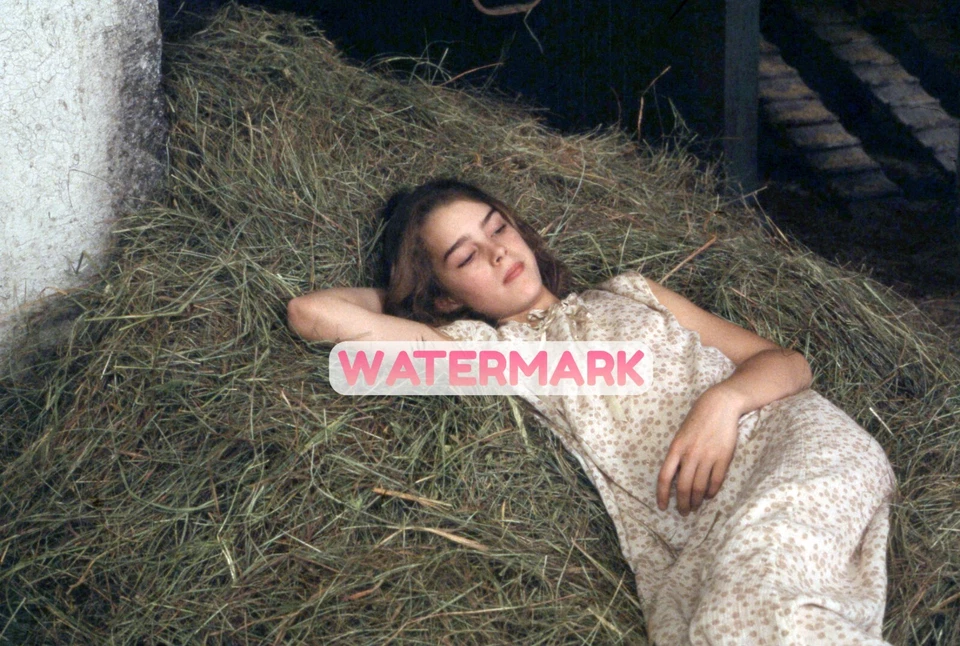 Impresionante impresión de archivo de laboratorio profesional invisible Young Brooke Shields mayo 1977 (8,5"x11") Foto 1 de 1