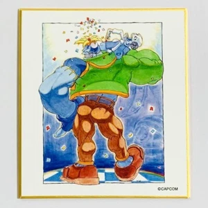Vampire Savior Hunter Darkstalkers mini shikishi Victor capcom Japón m592 - Imagen 1 de 3