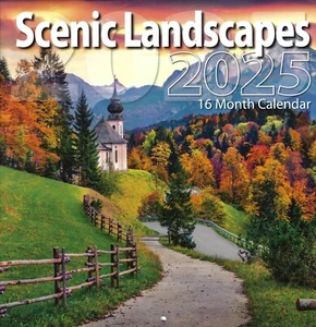 2025 Scenic Landscapes 16-month (Sept 2024 through Dec 2025) Full Size Calendar - Picture 1 of 2