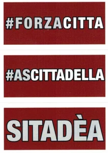 CALCIATORI PANINI 2023-2024 FIGURINA FUORI RACCOLTA CITTADELLA (RETRO FUCSIA) - Imagen 1 de 3