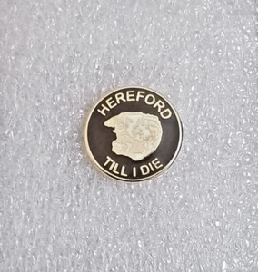 HEREFORD "TILL I DIE" SMALL ROUND BADGE B* - Picture 1 of 1