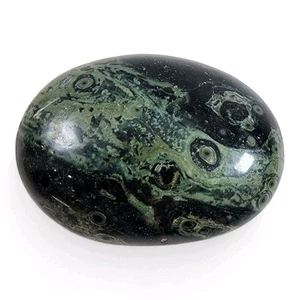 Kambaba Jasper Polished Crocodile Pebble 134.2 grams - Picture 1 of 2
