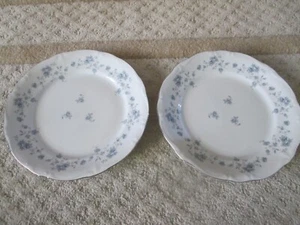 Johann Haviland China Blue Floral Garland Bavarian Germanyđź’•2 Dinner Plates - Picture 1 of 2