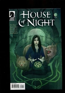 HOUSE OF NIGHT 1 (9.4) DARK NIGHT (B035) - Bild 1 von 2