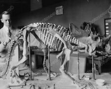 Pre Historic Animal Skeleton Classic 8 by 10 Reprint Photograph