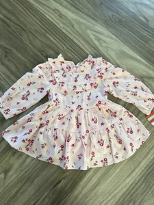 Cat & Jack Girls Dress Tiered Twirl Long Sleeve Pink Floral 12M Baby - Picture 1 of 6