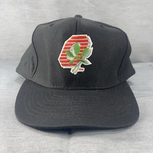 Vintage The Ohio State Snapback Hat Black Dome Plain Logo Cut Tag - Picture 1 of 8