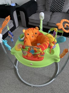 rainforest jumperoo ebay