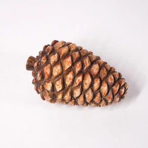 Nature Pinecone Seed Leaf 5" Ceramic Figurine Statue Sculpture Art Decor Artwork - Picture 1 of 9