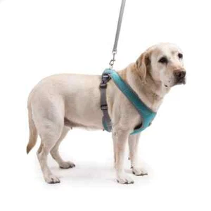 MY CANINE KIDS Snap N Go Rugged Mesh Dog Harness - Picture 1 of 10