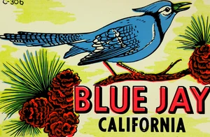 Blue Jay Lake Arrowhead CA Travel Decal San Bernardino County Original 1950-60s - Picture 1 of 7