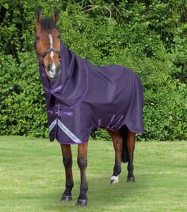Premier Equine Stratus 600D Series 0g Turnout Rug with Classic Neck Cover - Picture 1 of 9