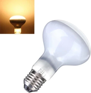 2-Pack 110V 75W Pet Heating Lamp,Basking Heat Spot Lamp, Reptile Heat Bulb for T - Picture 1 of 9