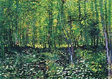 Trees and Undergrowth - Van Gogh HUGE A1 size 59.4x84cm Canvas Print Unframed