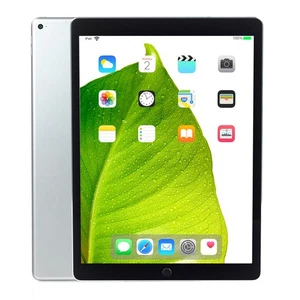 Apple iPad Pro 12.9" 2015 Space Gray 32GB Wi-Fi Tablet ML0F2LL/A A1584 - Grade B - Picture 1 of 8