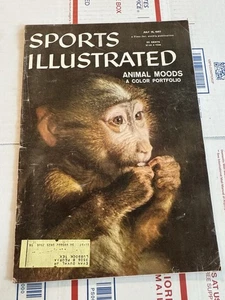 1957 Sport Illustrated Animal Moods 7-15-57 - Scimmia - Foto 1 di 10