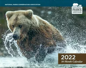 COLLECTIBLE CALENDAR-2022-NATIONAL PARKS CONSERVATION-16 MONTH-STATUE OF LIBERTY - Picture 1 of 2