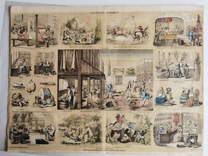 PEAUX D'ANIMAUX STAMPA A COLORI PUBLIÉE PAR LE JOURNAL DES MERES ET DES ENFANTS - Picture 1 of 4