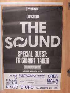 Poster Originale Concerto The Sound Puntacapo " Budrio " 14/02/1983 100X70 Cm - Foto 1 di 1
